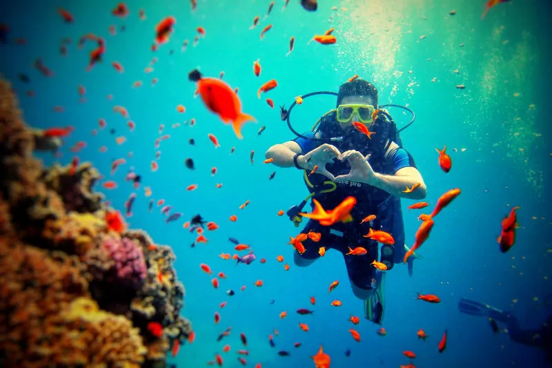 Scuba Diving