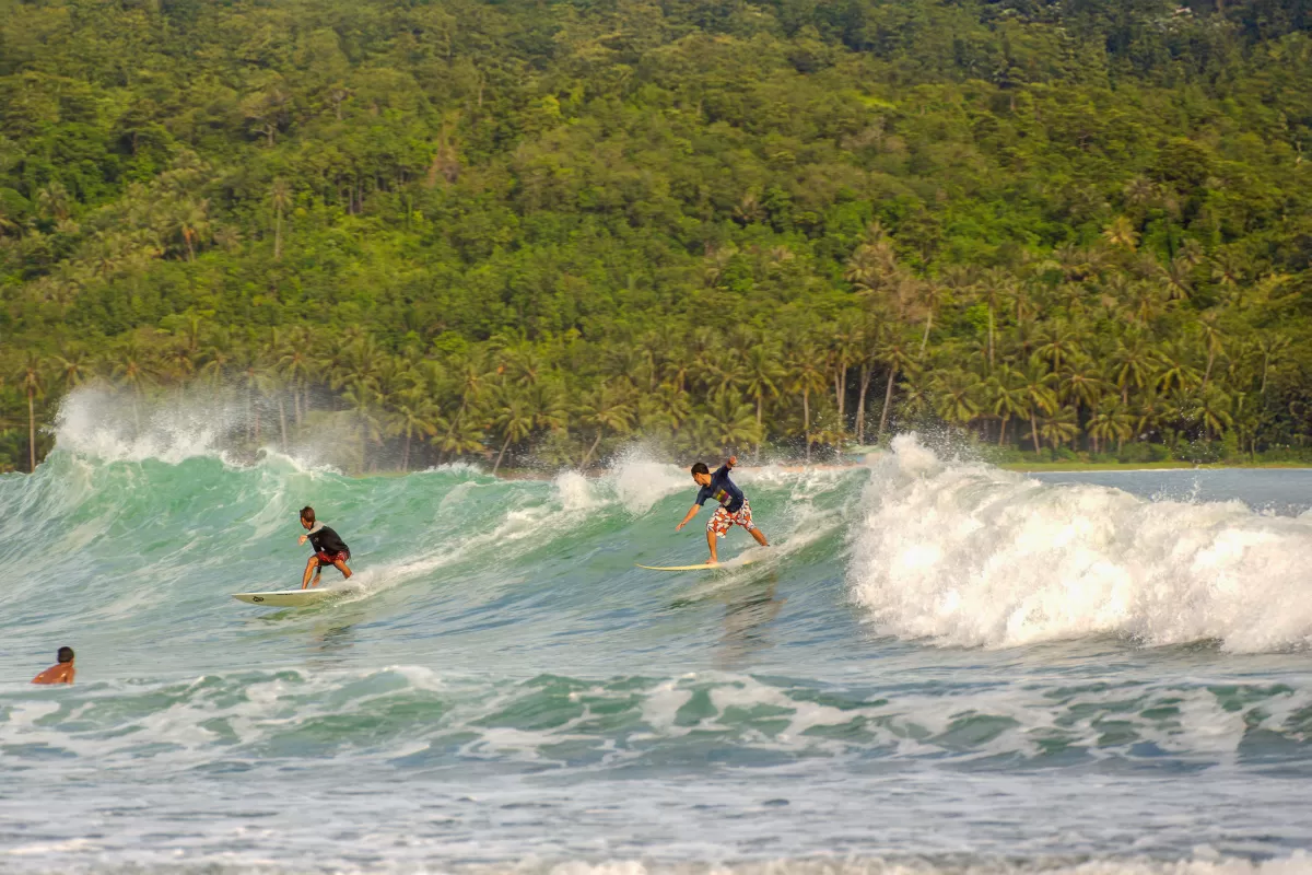 Surfing